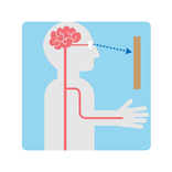 Kiểm tra phản ứng