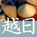 CJKI Vietnamese-Japanese Dict. APK