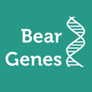 BearGenes APK