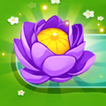 Flower  Bloom