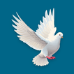 OnelittleAngel icon
