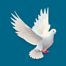 OnelittleAngel APK