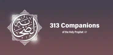 313 Companions