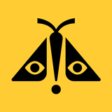 Concert Archives icon