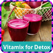 Vitamix For Detox Diet Recipes