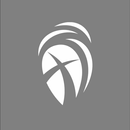 Cottonwood Creek APK