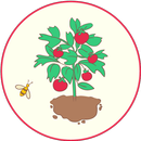 Плодово-ягодные растения: справочник садовода APK
