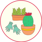 Комнатные растения icône