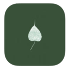 Dharma Seed ikona