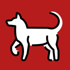 小卓守护 icon