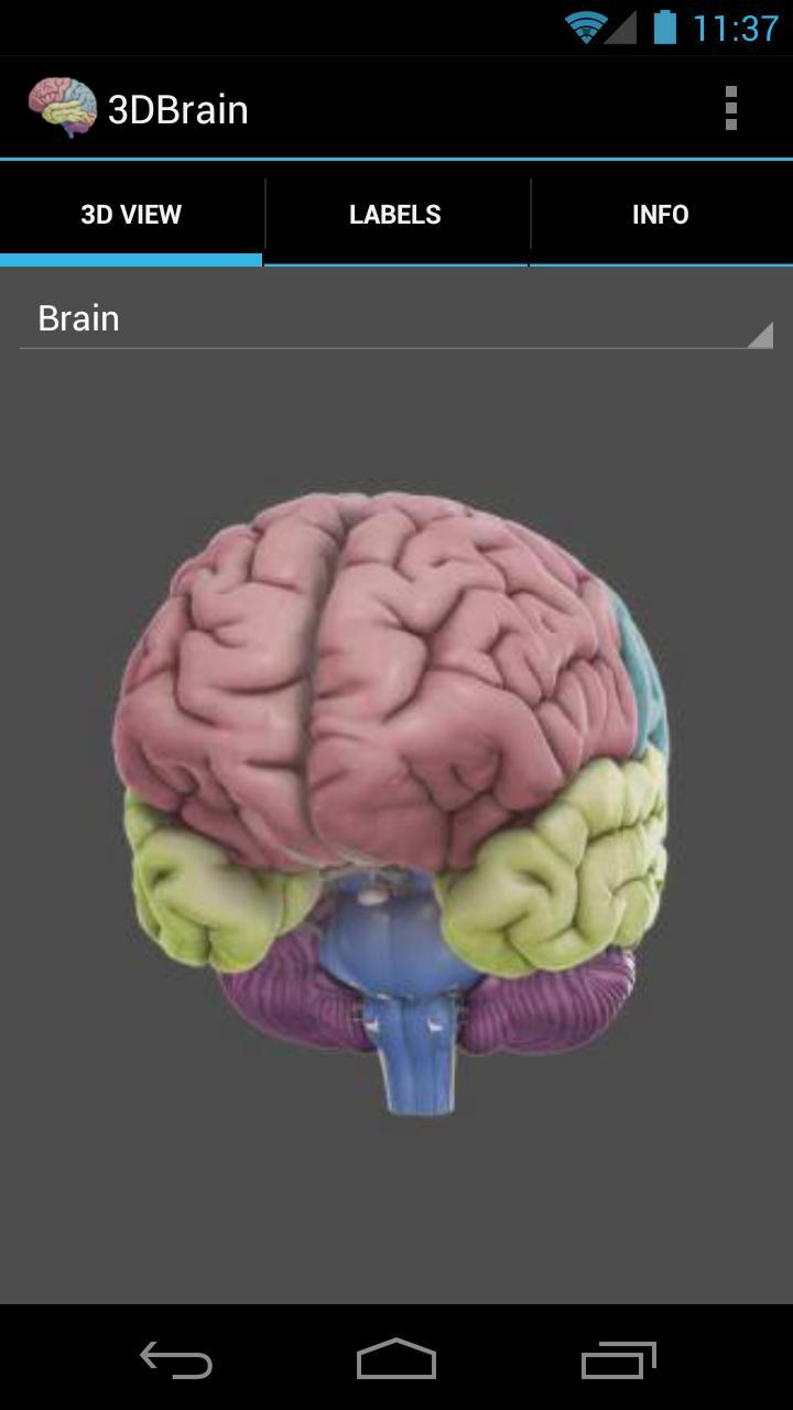 Brain apk