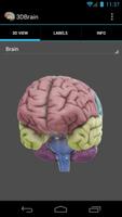 3D Brain imagem de tela 1