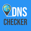 DNS Checker - Network Tools