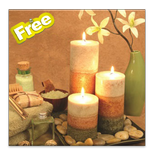 Bathroom Decorating Ideas