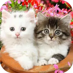 Cute Baby Animals Pictures APK download