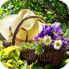 DIY Gardening Tips APK download