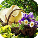 DIY Gardening Tips APK