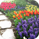 Garten Design Ideen APK