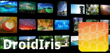 DroidIris : Image Search