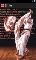 Karate Shito-Ryu Affiche