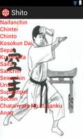 Karate Shito-Ryu capture d'écran 2
