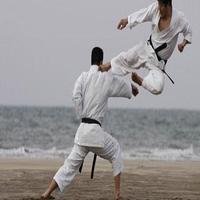 Karate Shotokan syot layar 2