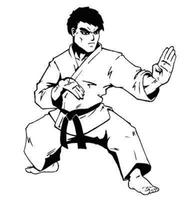 Técnicas de Karate syot layar 1
