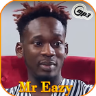 mr eazy 2019 -without net- icône