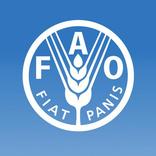 FAOnow