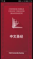 Mandarin Chinese UNV پوسٹر