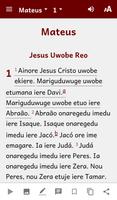 Bororo Bible imagem de tela 1
