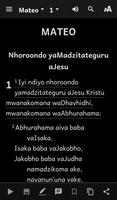 Bhaibheri Dzvene (Shona Bible) تصوير الشاشة 3