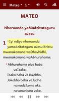 Bhaibheri Dzvene (Shona Bible) تصوير الشاشة 1