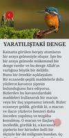 Feyyaz Kitaplık скриншот 2