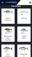 برنامه‌نما FishFORCE عکس از صفحه