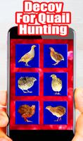 Decoys For Quail For Hunting پوسٹر