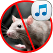 répulseur pour les souris et rats