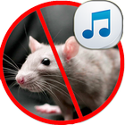 répulseur pour les souris et rats icône