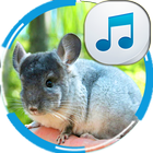 チンチラの音 アイコン