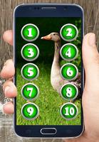 Decoy for Goose and Duck screenshot 1