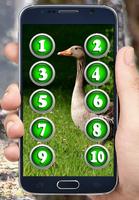 Decoy for Goose and Duck screenshot 3