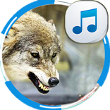 Hurlement, loup, sons, loups