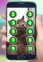 Scare Cats Sounds 海报