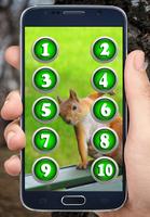 Sounds of Squirrels poster