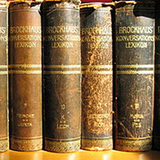 Brockhaus and Efron Dictionary icône