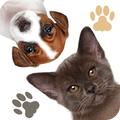 Find a Pet - Hidden Object