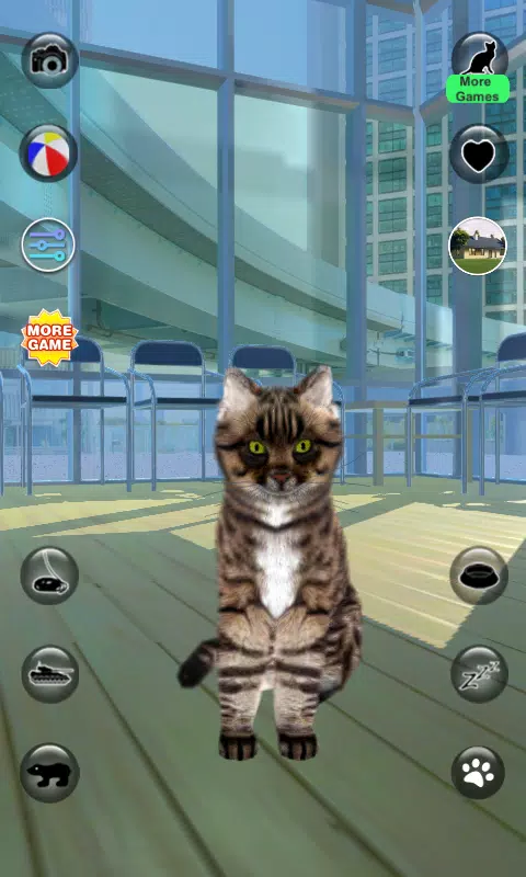 Download do APK de Jogo de Gato para Android