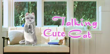 Talking Lovely Cat