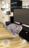 Talking Tabby Cat captura de pantalla 3
