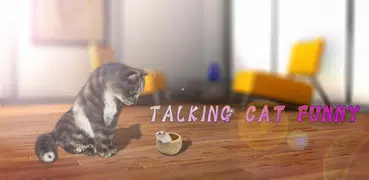 Talking Cat Funny
